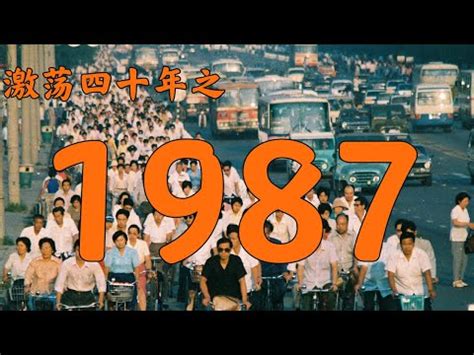 1987 年|1987年